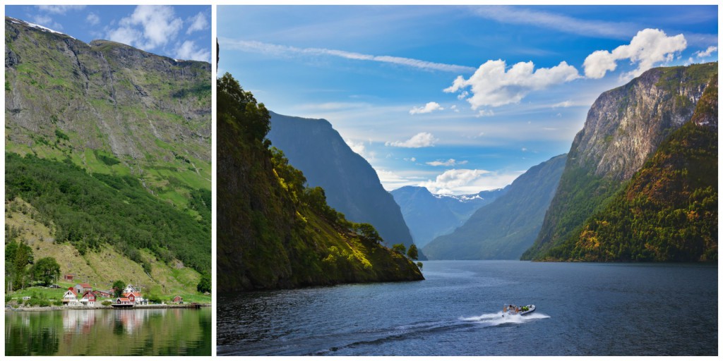 Nærøyfjord Collage (Large)