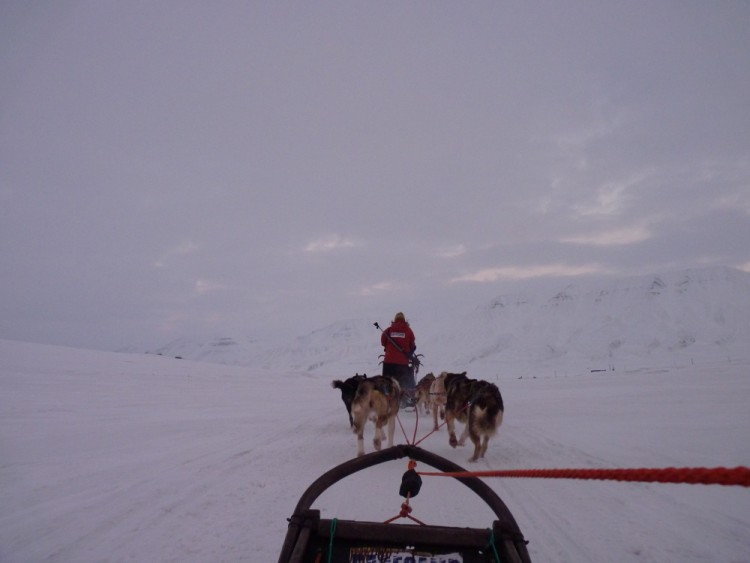 svalbard tourist office