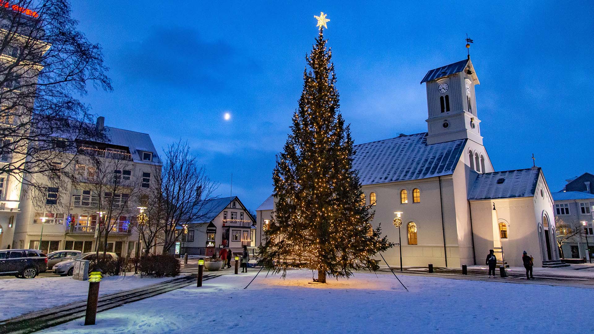 Kerstboom in Austurvollur, IJsland