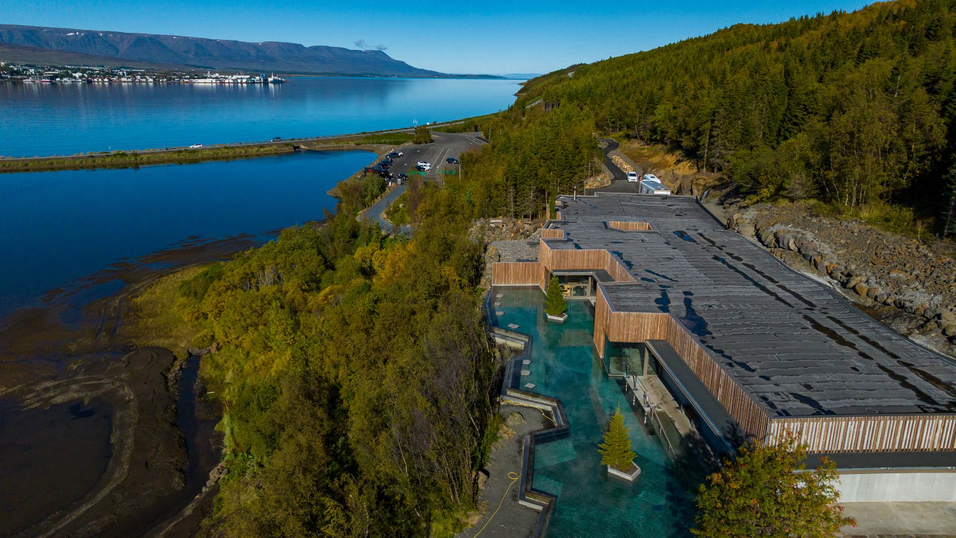 Forest Lagoon in Iceland: Your Complete Guide : Nordic Visitor