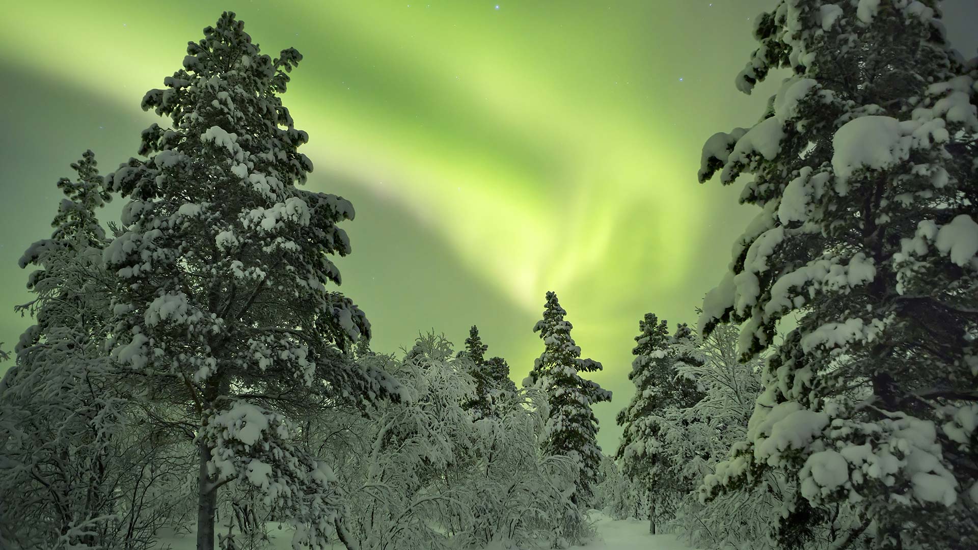 Northern lights Finnish Lapland