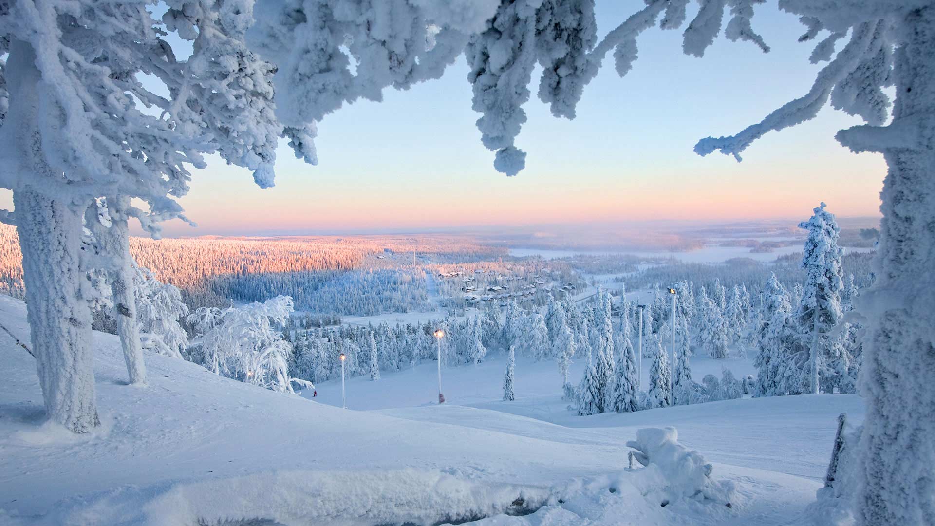 Snow-covered trees in Finnish Lapland