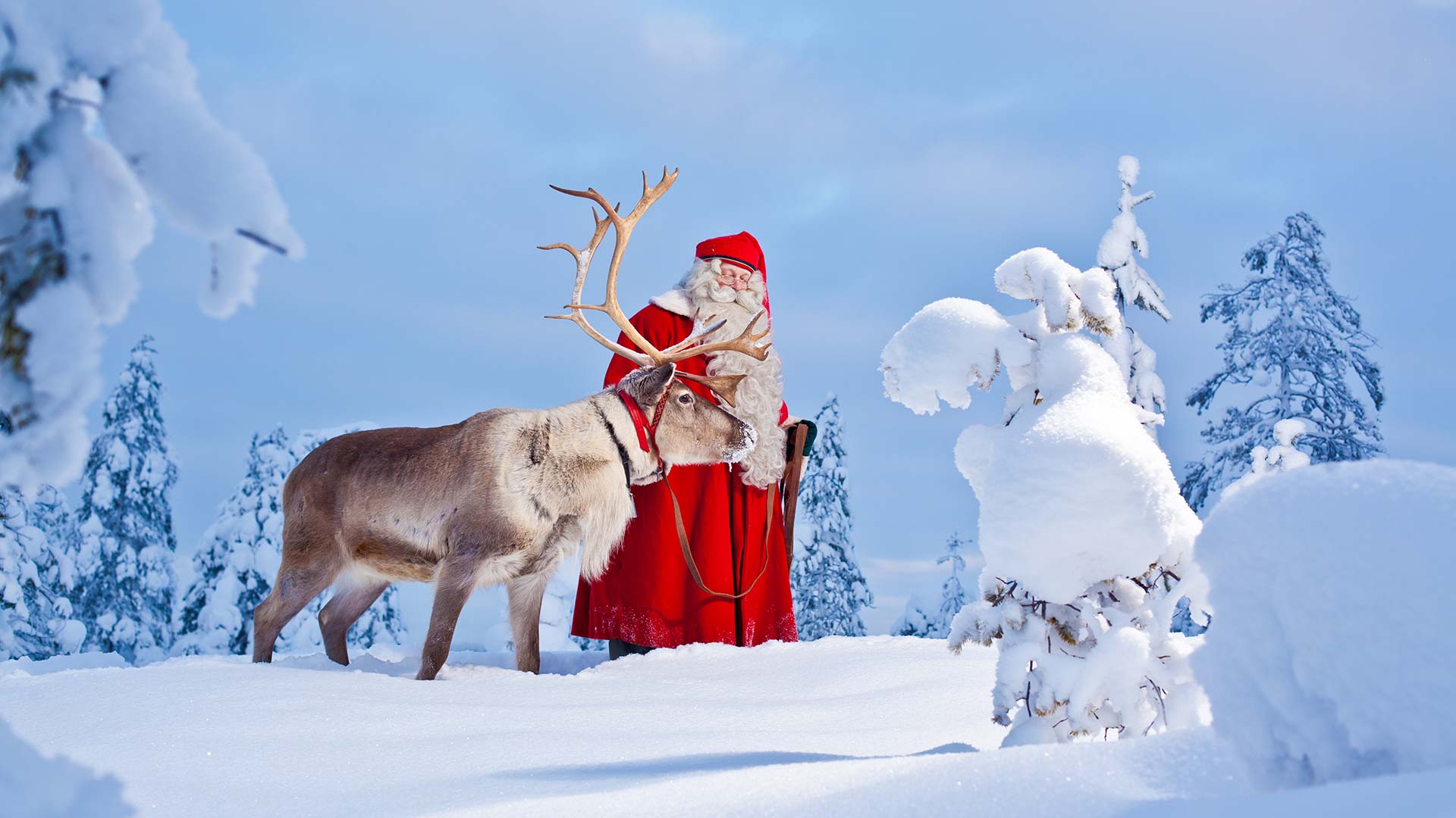 7 Reasons to Visit Lapland in Winter Nordic Visitor