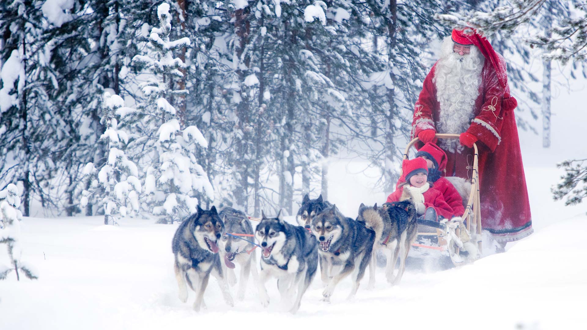 Santa husky sled Rovaniemi ©visitrovaniemi.fi