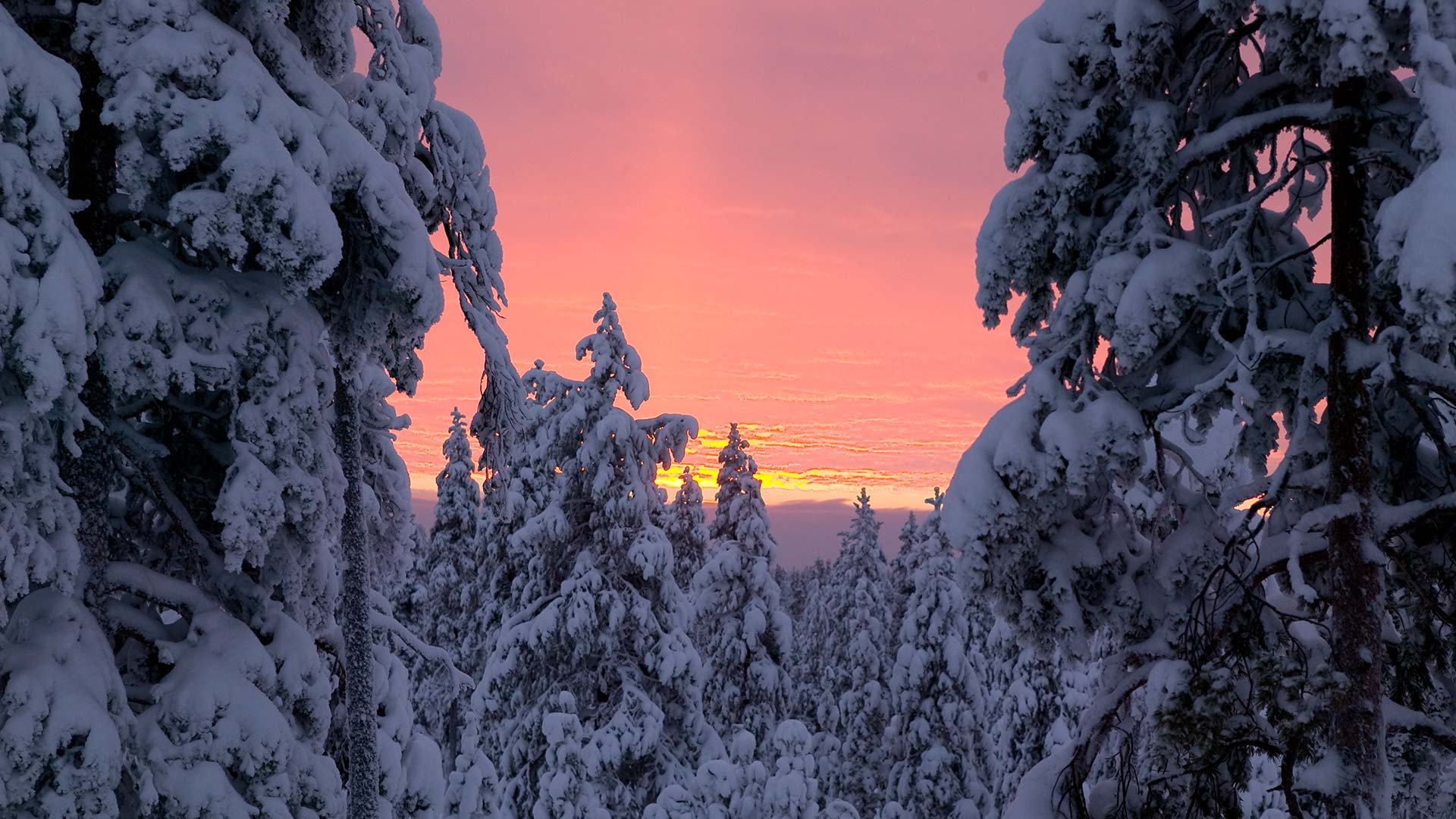 best places to visit sweden winter