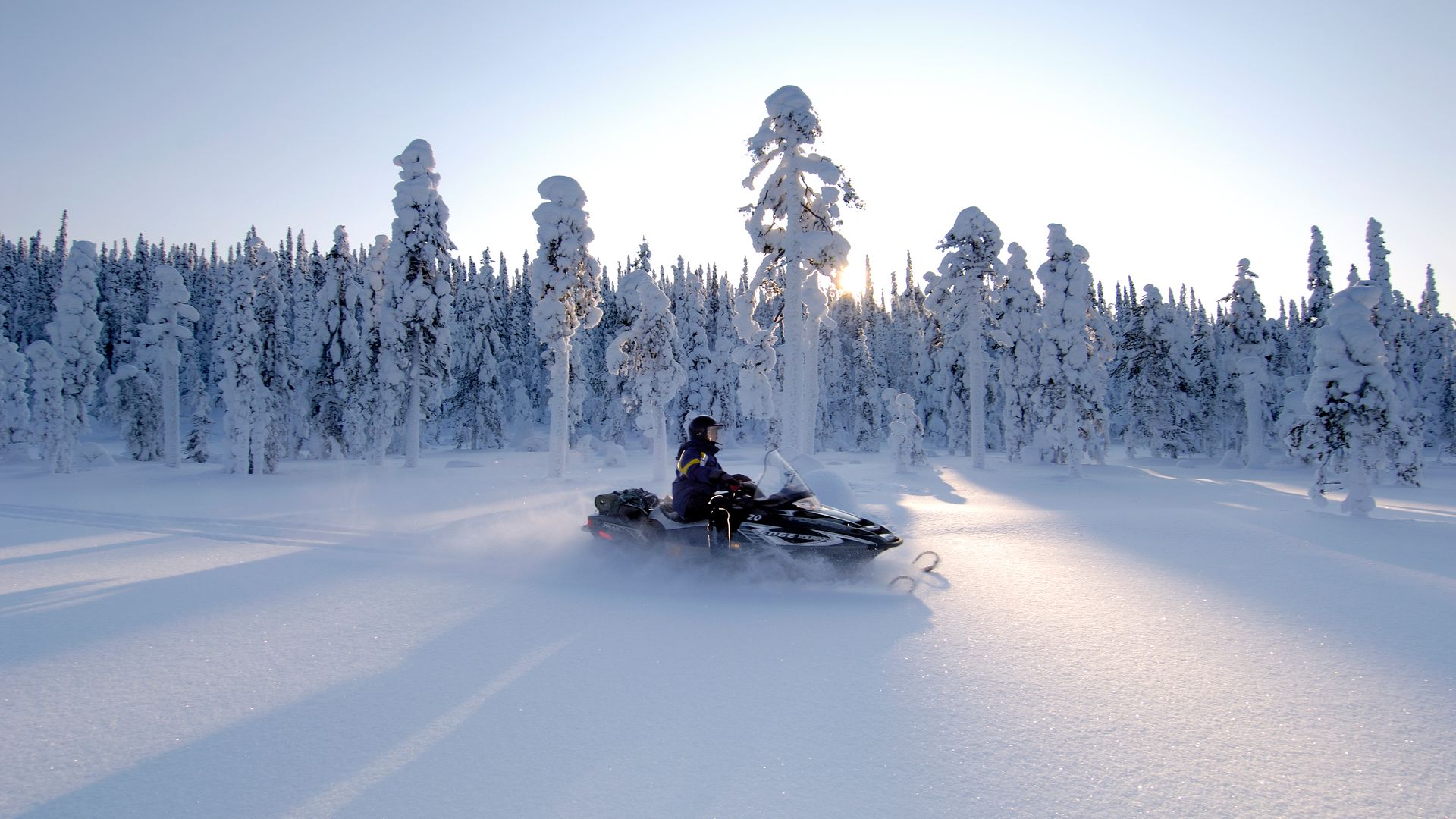Snowmobiling through the forest in Lapland