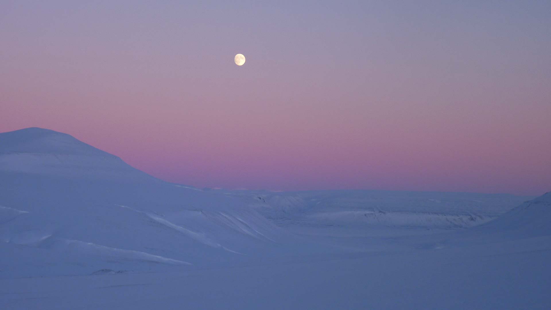 svalbard tourist office