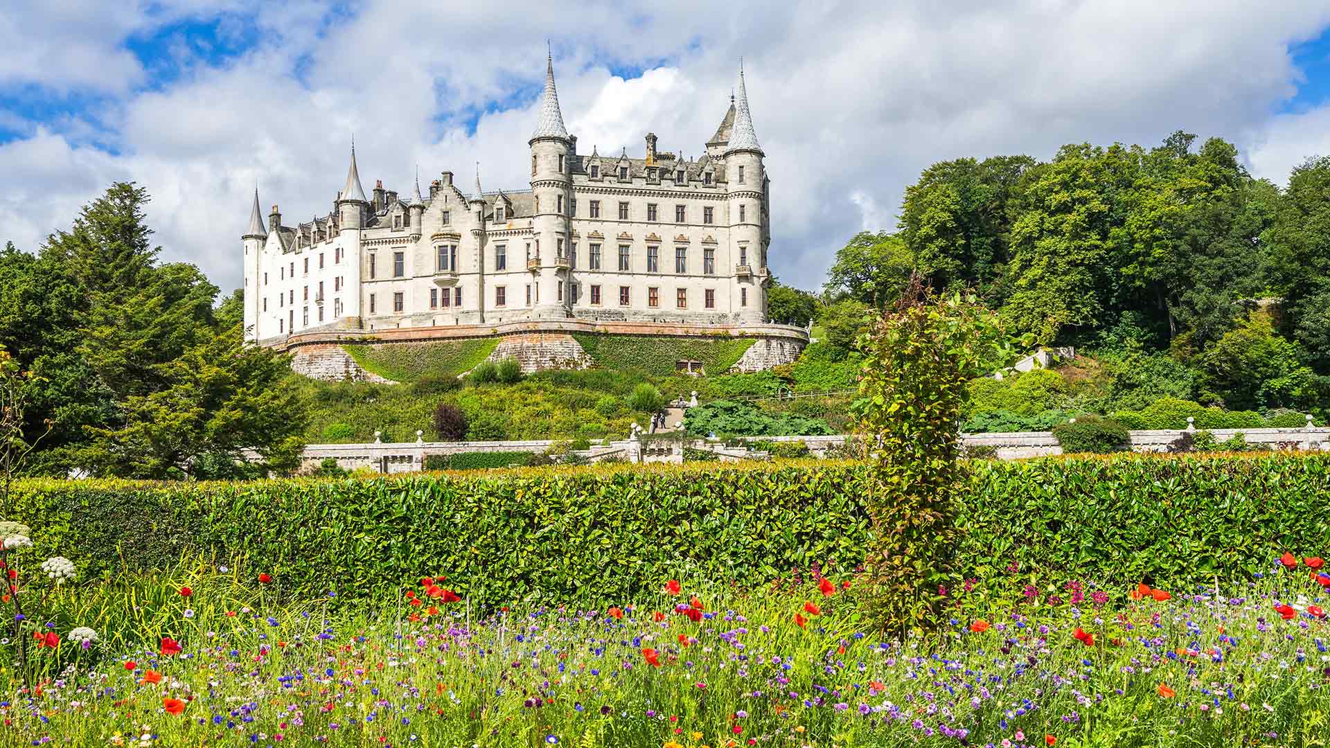 Grand, white Dunrobin Castle Scotland with blooming flowers and green grass