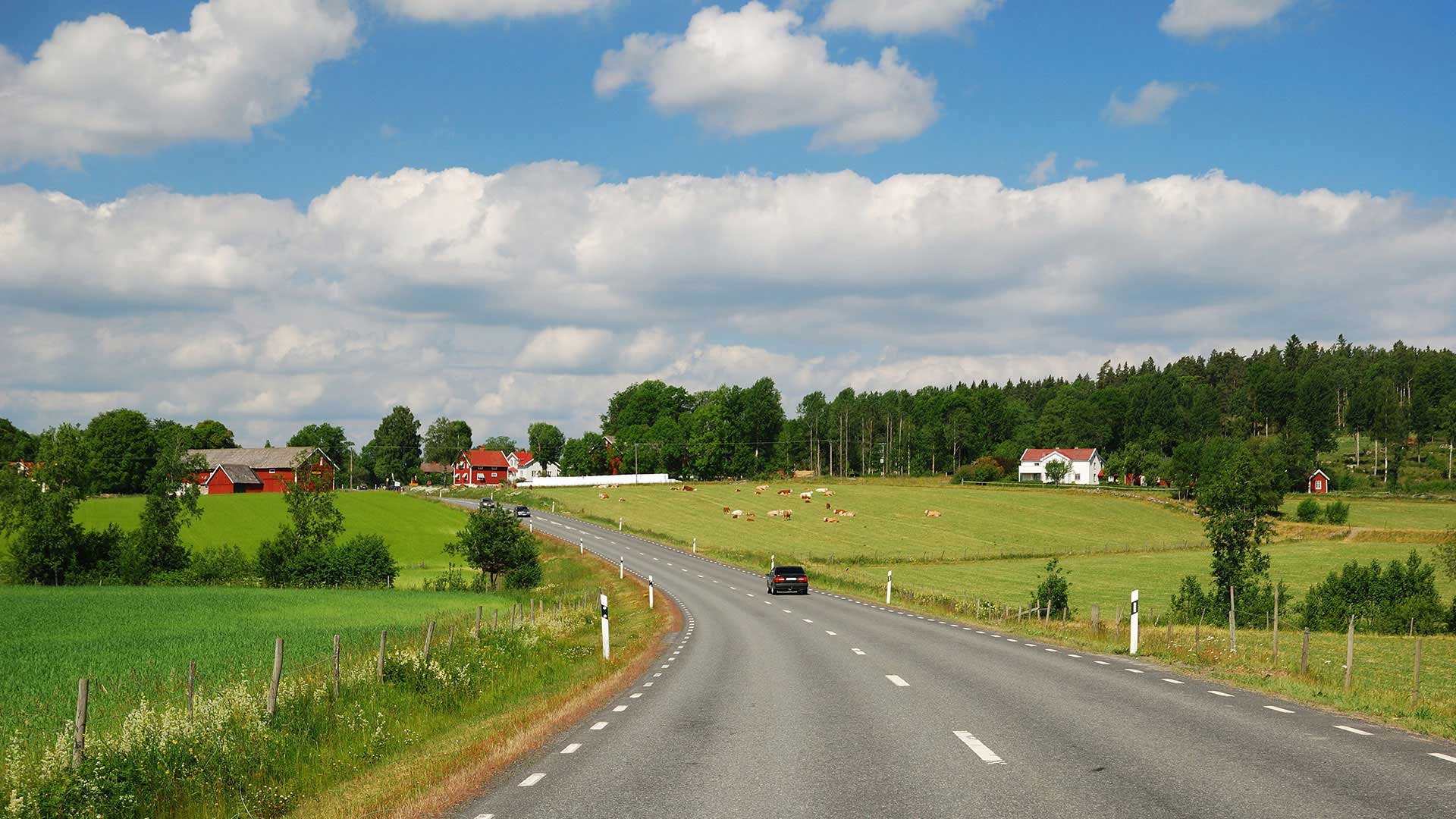 road through lush field countryside in sweden