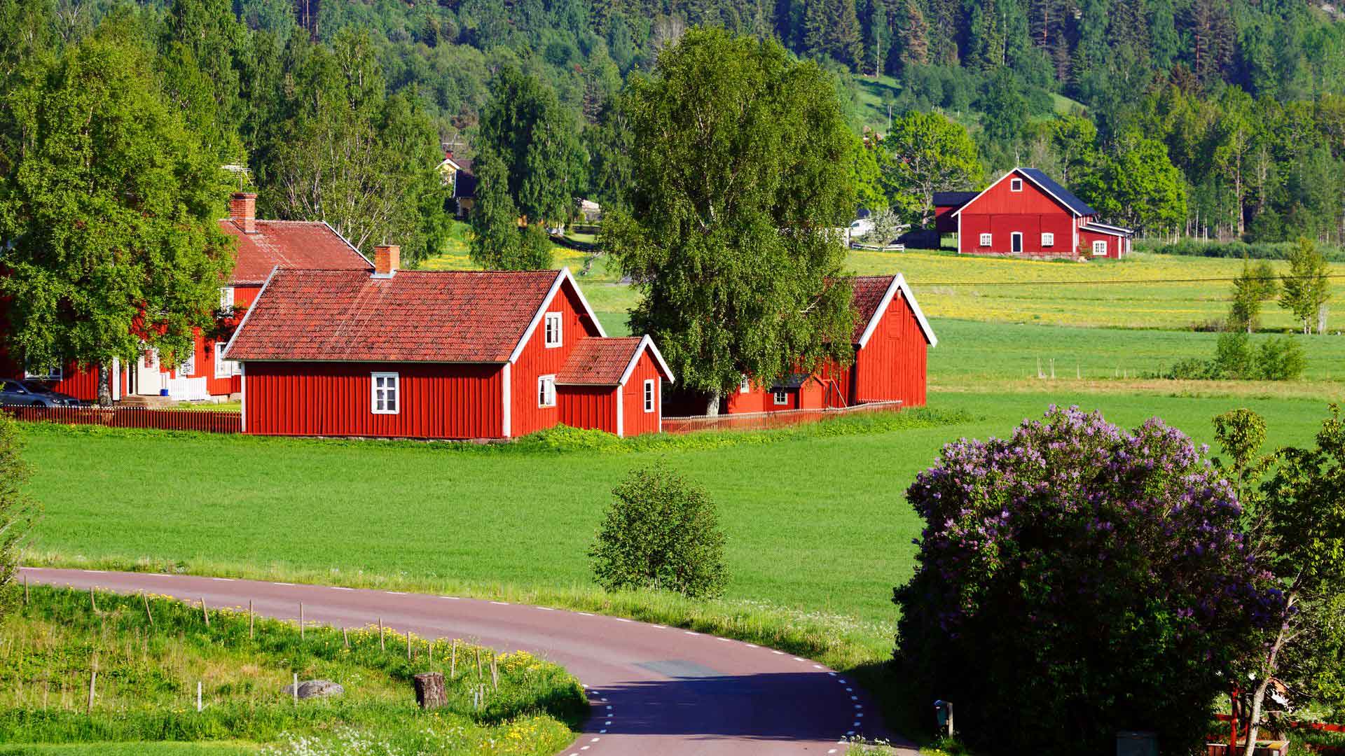 Pretty Swedish countryside