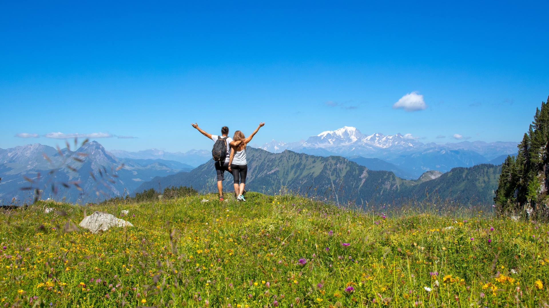 Couple hiking in a meadow, the Alps